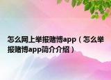 怎么網(wǎng)上舉報(bào)賭博app（怎么舉報(bào)賭博app簡(jiǎn)介介紹）