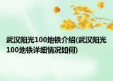 武漢陽光100地鐵介紹(武漢陽光100地鐵詳細(xì)情況如何)