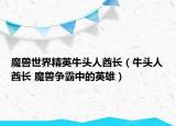 魔獸世界精英牛頭人酋長(zhǎng)（牛頭人酋長(zhǎng) 魔獸爭(zhēng)霸中的英雄）