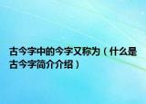 古今字中的今字又稱為（什么是古今字簡介介紹）