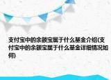 支付寶中的余額寶屬于什么基金介紹(支付寶中的余額寶屬于什么基金詳細(xì)情況如何)