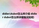 didier(dubot怎么樣介紹 didier dubot怎么樣詳細情況如何)