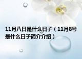 11月八日是什么日子（11月8號是什么日子簡介介紹）