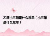 乙肝小三陽是什么意思（小三陽是什么意思）
