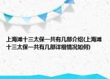 上海灘十三太保一共有幾部介紹(上海灘十三太保一共有幾部詳細情況如何)