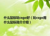 什么鼠標(biāo)玩csgo好（玩csgo用什么鼠標(biāo)簡(jiǎn)介介紹）