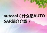 autosal（什么是AUTOSAR簡介介紹）