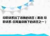 印歐語(yǔ)系拉丁語(yǔ)族的語(yǔ)言（英語(yǔ) 印歐語(yǔ)系-日耳曼語(yǔ)族下的語(yǔ)言之一）