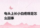 龜頭上長小白疙瘩是怎么回事