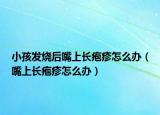 小孩發(fā)燒后嘴上長(zhǎng)皰疹怎么辦（嘴上長(zhǎng)皰疹怎么辦）