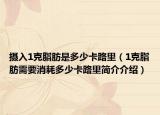 攝入1克脂肪是多少卡路里（1克脂肪需要消耗多少卡路里簡(jiǎn)介介紹）