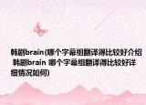 韓劇brain(哪個(gè)字幕組翻譯得比較好介紹 韓劇brain 哪個(gè)字幕組翻譯得比較好詳細(xì)情況如何)