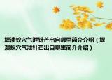堤潰蟻穴氣泄針芒出自哪里簡介介紹（堤潰蟻穴氣泄針芒出自哪里簡介介紹）