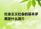 社會主義社會的基本矛盾是什么簡介