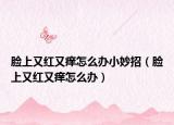 臉上又紅又癢怎么辦小妙招（臉上又紅又癢怎么辦）
