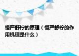 慢嚴(yán)舒檸的原理（慢嚴(yán)舒檸的作用機(jī)理是什么）