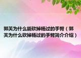 郭芙為什么能砍掉楊過的手臂（郭芙為什么砍掉楊過的手臂簡介介紹）