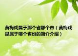 黃梅戲?qū)儆谀莻€(gè)省那個(gè)市（黃梅戲是屬于哪個(gè)省份的簡(jiǎn)介介紹）