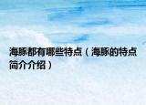 海豚都有哪些特點(diǎn)（海豚的特點(diǎn)簡(jiǎn)介介紹）