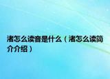 渚怎么讀音是什么（渚怎么讀簡介介紹）