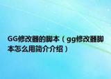 GG修改器的腳本（gg修改器腳本怎么用簡(jiǎn)介介紹）