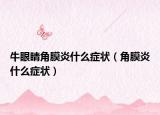 牛眼睛角膜炎什么癥狀（角膜炎什么癥狀）