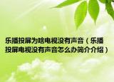 樂播投屏為啥電視沒有聲音（樂播投屏電視沒有聲音怎么辦簡介介紹）