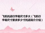 飛機托運行李箱尺寸多大（飛機行李箱尺寸要求多少寸托運簡介介紹）