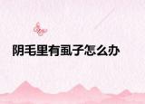 陰毛里有虱子怎么辦