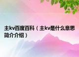 主kv百度百科（主kv是什么意思簡介介紹）