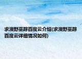 求澳野巫蹤百度云介紹(求澳野巫蹤百度云詳細(xì)情況如何)