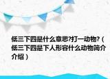 低三下四是什么意思?打一動物?（低三下四是下人形容什么動物簡介介紹）