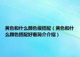 黃色和什么顏色很搭配（黃色和什么顏色搭配好看簡(jiǎn)介介紹）