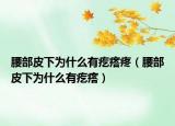 腰部皮下為什么有疙瘩疼（腰部皮下為什么有疙瘩）