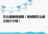 怎么組建局域網(wǎng)（局域網(wǎng)怎么建立簡介介紹）