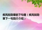 疾風(fēng)知勁草的下句是（疾風(fēng)知勁草下一句簡介介紹）