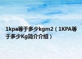 1kpa等于多少kgm2（1KPA等于多少Kg簡介介紹）