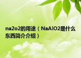 na2o2的用途（NaAlO2是什么東西簡介介紹）