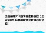 王者榮耀S14賽季是誰的皮膚（王者榮耀S14賽季皮膚是什么簡介介紹）