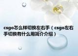 csgo怎么樣切換左右手（csgo左右手切換有什么用簡(jiǎn)介介紹）