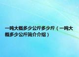 一噸大概多少公斤多少斤（一噸大概多少公斤簡介介紹）