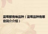 藍莓都有啥品種（藍莓品種有哪些簡介介紹）