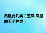 鳳凰有幾類（五鳳 鳳凰的五個(gè)種類）