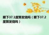 腋下37.1度算發(fā)燒嗎（腋下37.2度算發(fā)燒嗎）