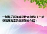 一樹梨花壓海棠是什么意思?（一樹梨花壓海棠的意思簡(jiǎn)介介紹）