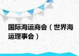 國際海運商會（世界海運理事會）