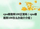 cpu使用率100正常嗎（cpu使用率100怎么辦簡介介紹）