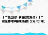 十二星座的葉羅麗娃娃是誰（十二星座的葉羅麗娃娃是什么簡介介紹）