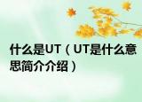 什么是UT（UT是什么意思簡介介紹）