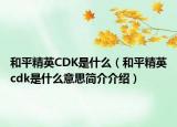 和平精英CDK是什么（和平精英cdk是什么意思簡介介紹）